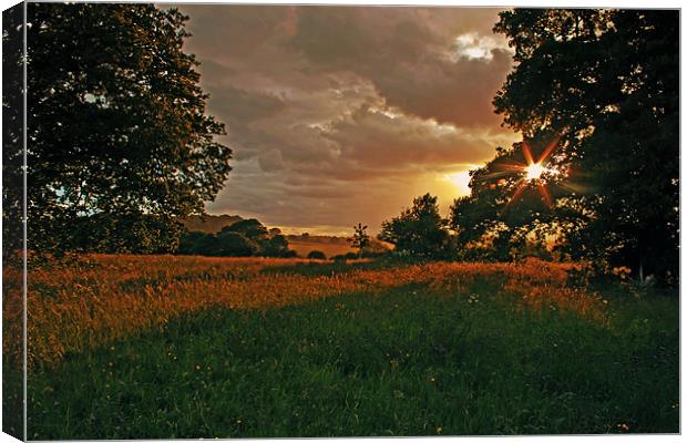 Sunset at Windsor Great Park Canvas Print by Doug McRae