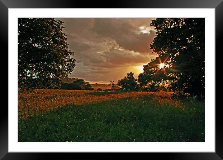 Sunset at Windsor Great Park Framed Mounted Print by Doug McRae