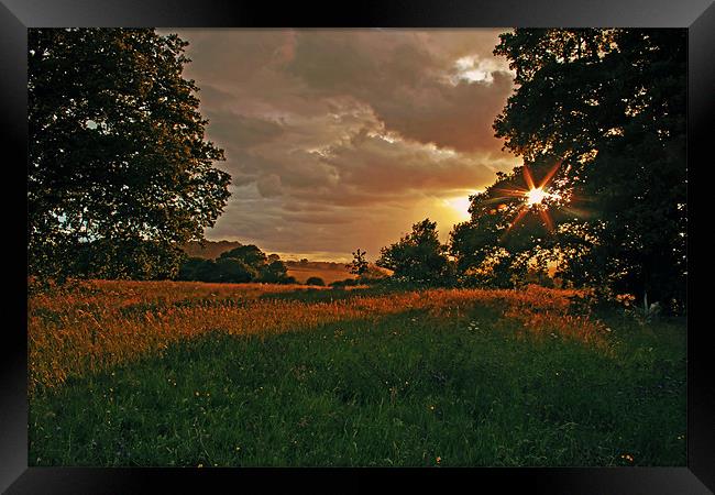 Sunset at Windsor Great Park Framed Print by Doug McRae
