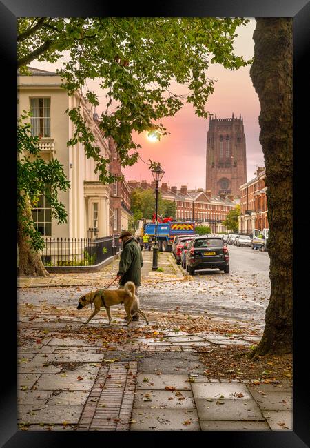 The Georgian area of Falkner Square, Liverpool in Autumn Framed Print by Dave Wood