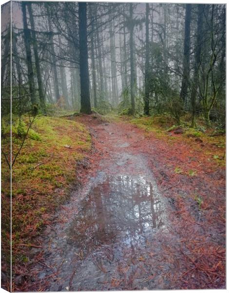 Autumn forest reflections Canvas Print by Leighton Collins