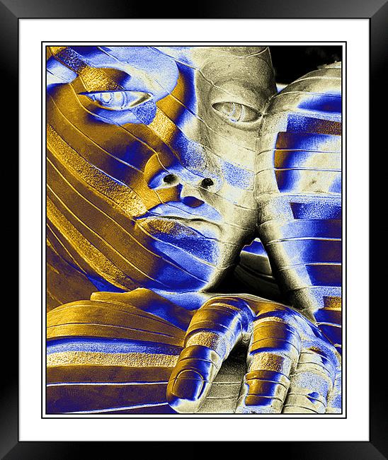 The Face Framed Print by Steve White