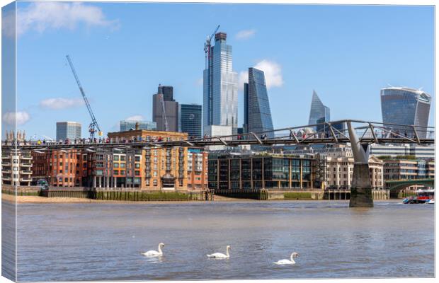 Swans on the River Thames and London Skyline Canvas Print by Dave Wood