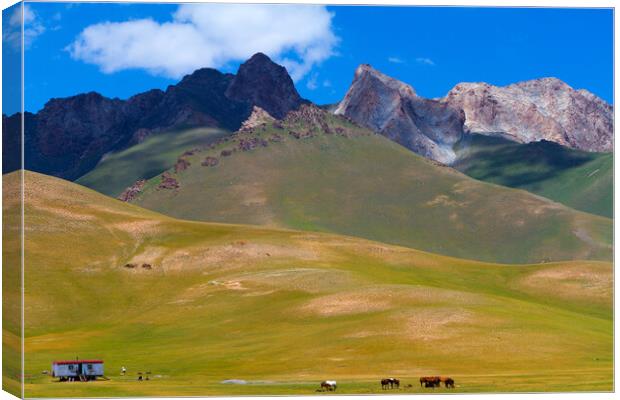 Kyrgyzstan. Mountain landscape with herd of horses and mobile ho Canvas Print by Tartalja 