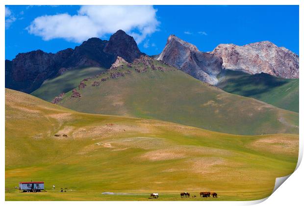Kyrgyzstan. Mountain landscape with herd of horses and mobile ho Print by Tartalja 