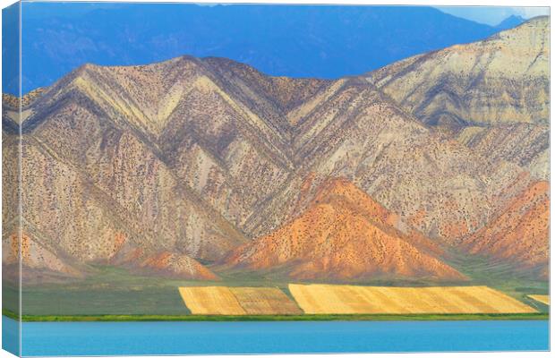 Kyrgyzstan. Mountain beautiful landscape in autumn Canvas Print by Tartalja 