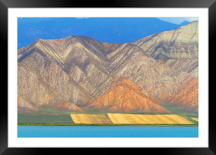 Kyrgyzstan. Mountain beautiful landscape in autumn Framed Mounted Print by Tartalja 