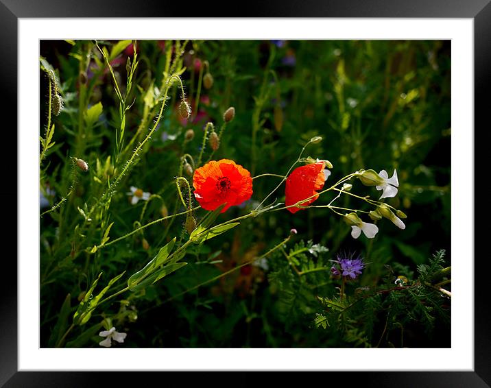 As Nature Intended Framed Mounted Print by Louise Godwin