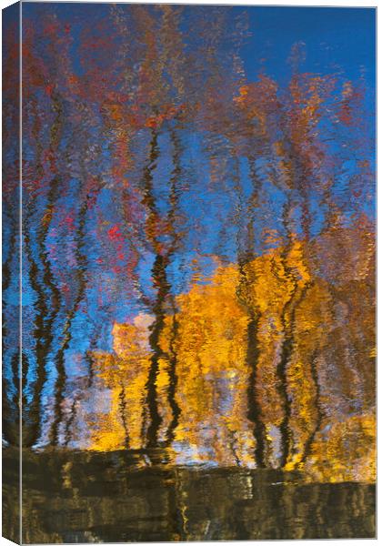 Autumn trees reflected on water Canvas Print by Tartalja 