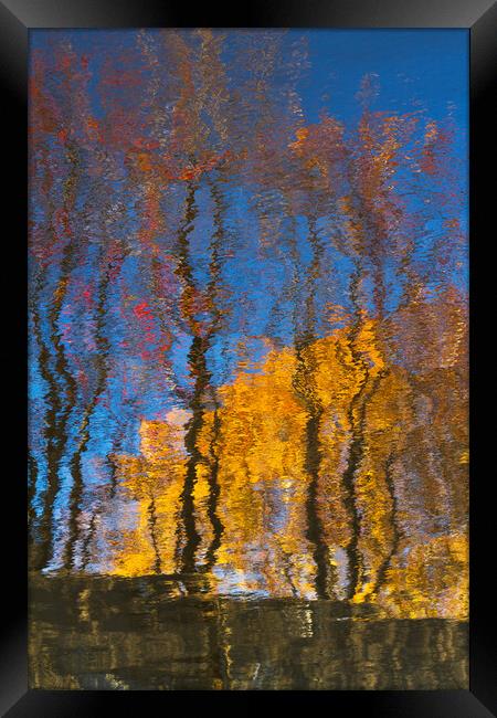 Autumn trees reflected on water Framed Print by Tartalja 