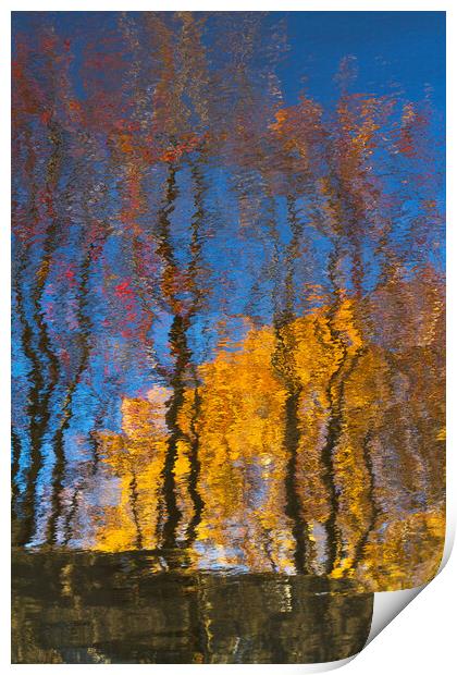 Autumn trees reflected on water Print by Tartalja 
