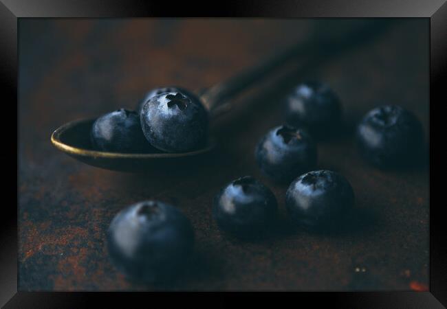 Fresh blueberry in a teaspoon on a rough surface Framed Print by Tartalja 