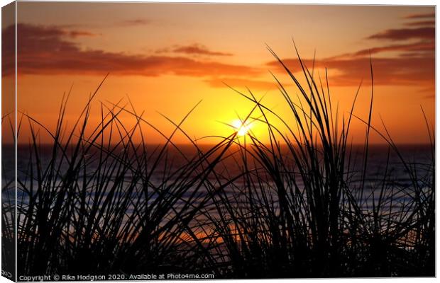 Grassy Sunset, Godrevy, Cornwall Canvas Print by Rika Hodgson