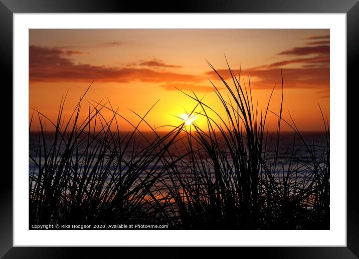Grassy Sunset, Godrevy, Cornwall Framed Mounted Print by Rika Hodgson