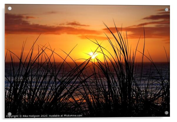 Grassy Sunset, Godrevy, Cornwall Acrylic by Rika Hodgson