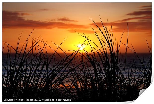 Grassy Sunset, Godrevy, Cornwall Print by Rika Hodgson