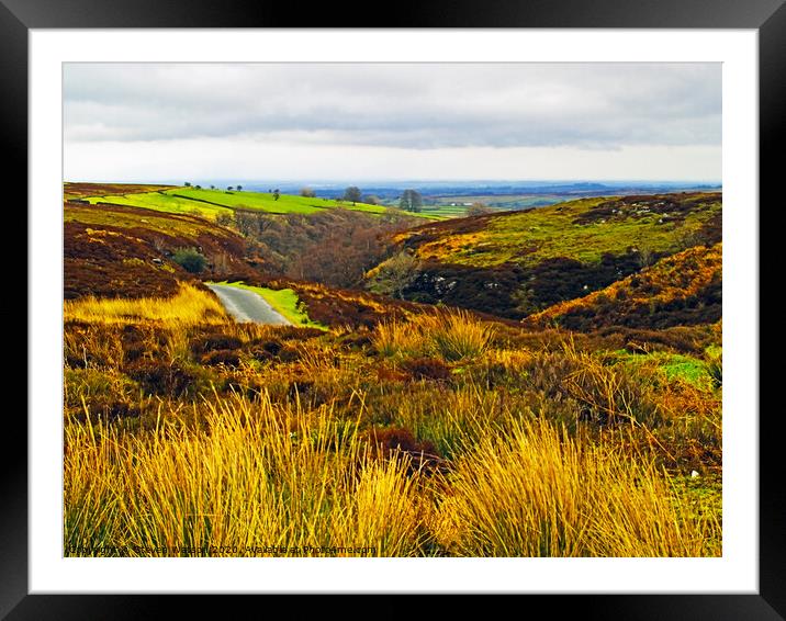 Where Moors Meet Framed Mounted Print by Steven Watson