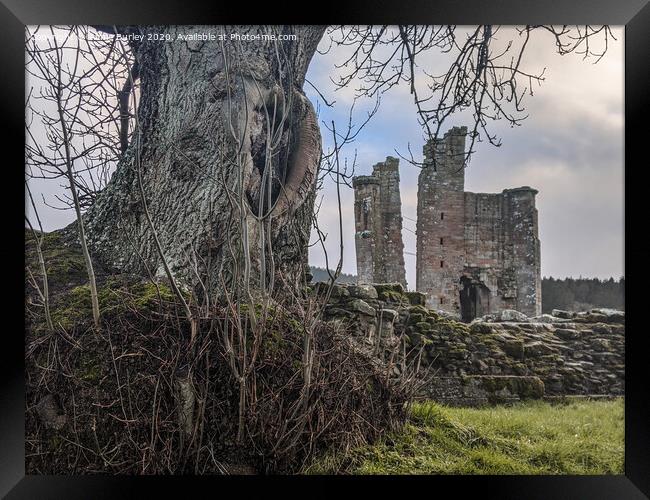 Tree and Castle   Framed Print by Aimie Burley