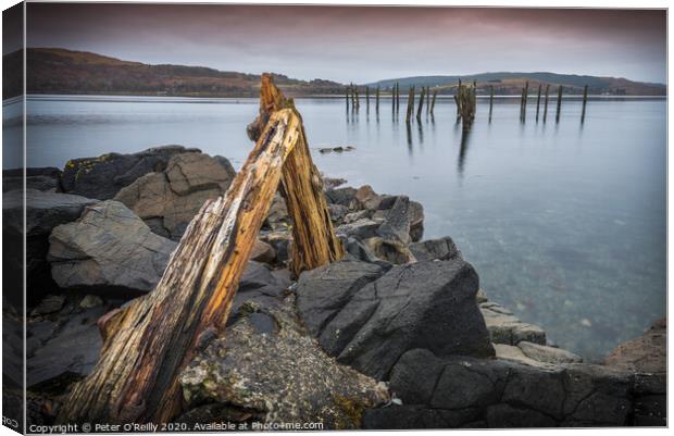 Remains of the Pier Canvas Print by Peter O'Reilly