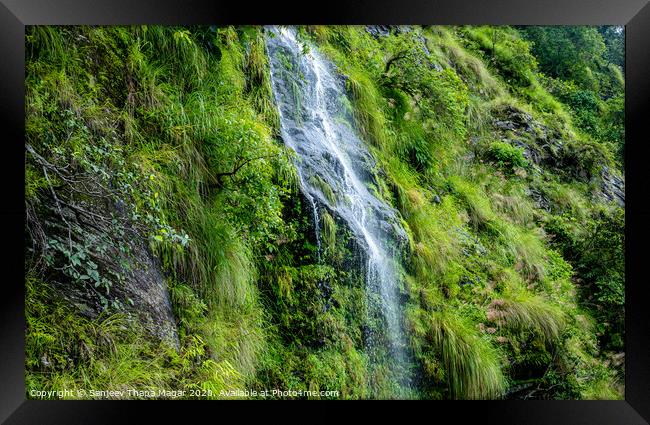 A large waterfall in a forest Framed Print by Sanjeev Thapa Magar