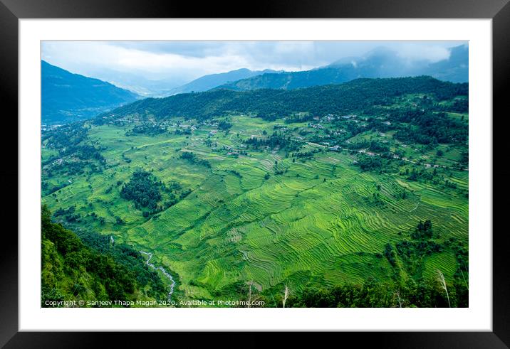 Landscape of greenery filed Framed Mounted Print by Sanjeev Thapa Magar
