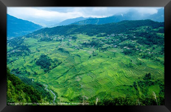 Landscape of greenery filed Framed Print by Sanjeev Thapa Magar