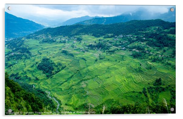 Landscape of greenery filed Acrylic by Sanjeev Thapa Magar