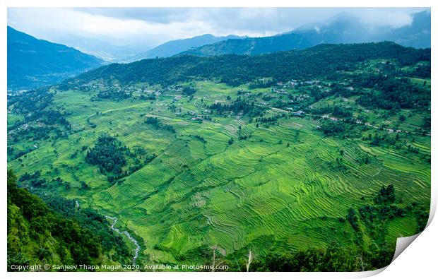 Landscape of greenery filed Print by Sanjeev Thapa Magar