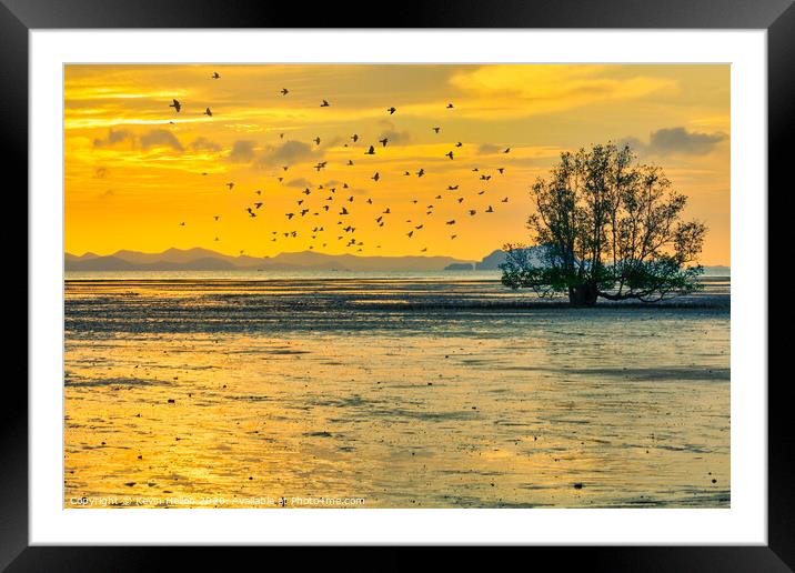 Birds at sunrise Framed Mounted Print by Kevin Hellon
