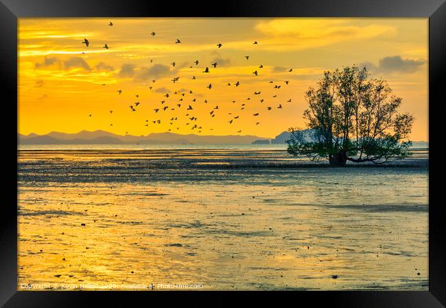 Birds at sunrise Framed Print by Kevin Hellon