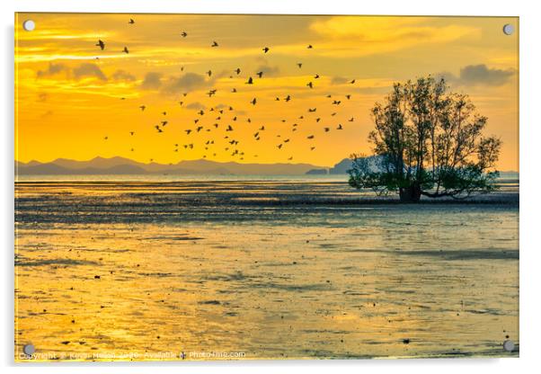 Birds at sunrise Acrylic by Kevin Hellon