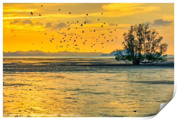 Birds at sunrise Print by Kevin Hellon