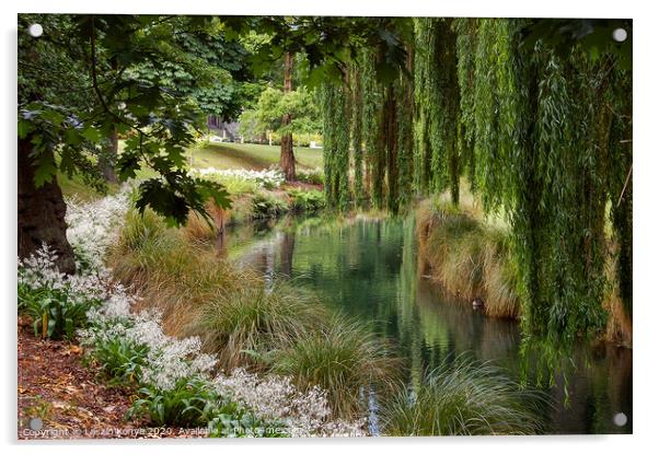 Avon River - Christchurch Acrylic by Laszlo Konya