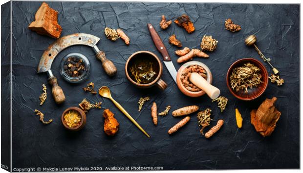 Medicinal herbal tea Canvas Print by Mykola Lunov Mykola