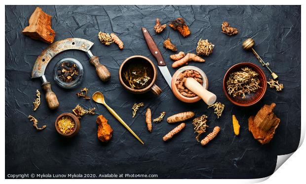 Medicinal herbal tea Print by Mykola Lunov Mykola