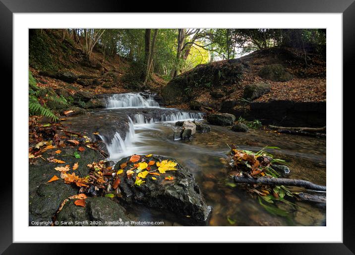Woodland waterfall in autumn Framed Mounted Print by Sarah Smith