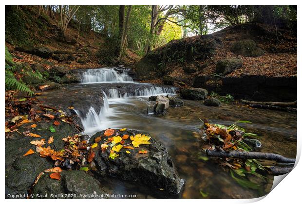 Woodland waterfall in autumn Print by Sarah Smith