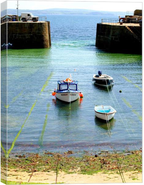 Entrance to Mousehole harbour in Cornwall. Canvas Print by john hill