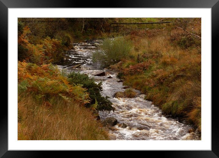AUTUMN YORKSHIRE Framed Mounted Print by andrew saxton