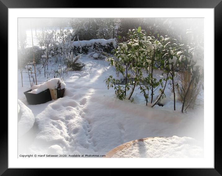 Fresh snow with deep foot prints in sunny garden Framed Mounted Print by Hanif Setiawan