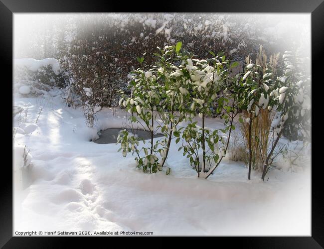 Fresh snow with deep foot prints in sunny garden Framed Print by Hanif Setiawan