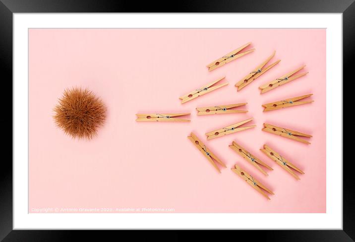 The concept of pregnancy expressed with clothes pegs. Framed Mounted Print by Antonio Gravante
