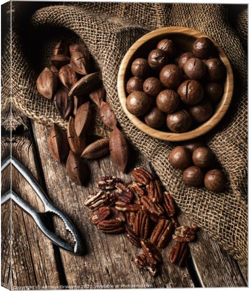 Macadamia, Pecan and Pili nuts on wooden table Canvas Print by Antonio Gravante