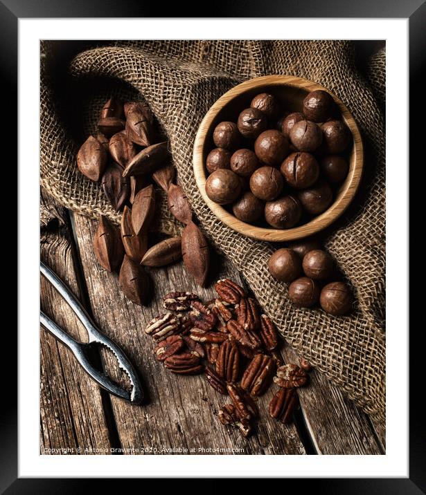 Macadamia, Pecan and Pili nuts on wooden table Framed Mounted Print by Antonio Gravante