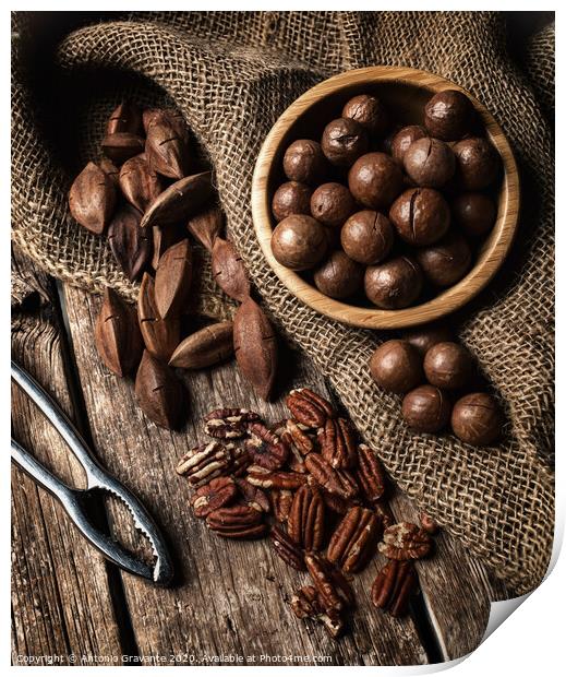 Macadamia, Pecan and Pili nuts on wooden table Print by Antonio Gravante