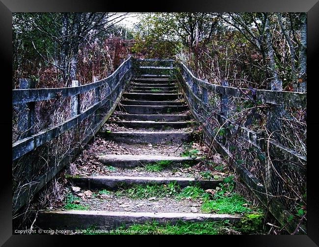 Country steps Framed Print by craig hopkins