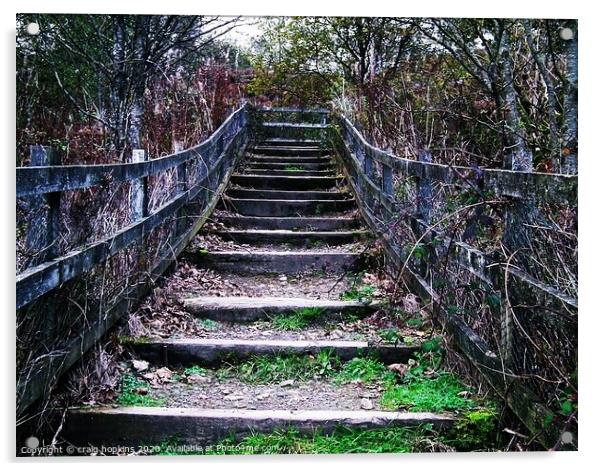 Country steps Acrylic by craig hopkins