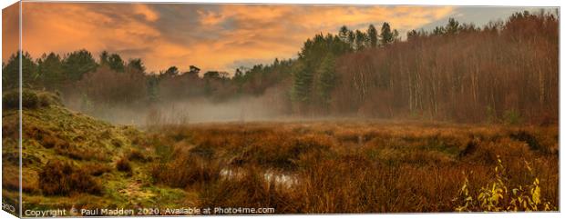 Delamere Forest at Sunrise Canvas Print by Paul Madden