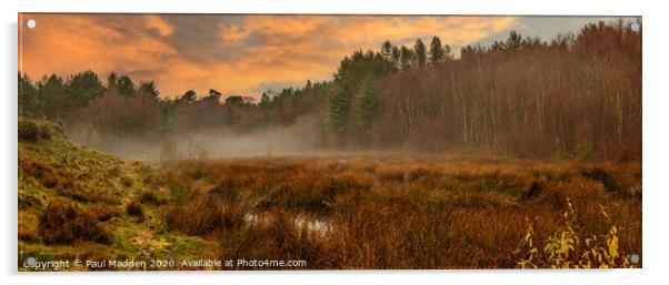 Delamere Forest at Sunrise Acrylic by Paul Madden