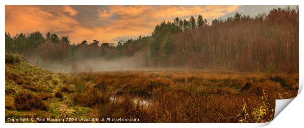 Delamere Forest at Sunrise Print by Paul Madden